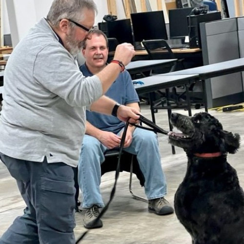 Basic Dog Obedience Class